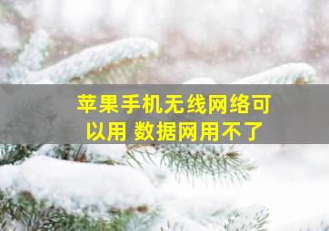 苹果手机无线网络可以用 数据网用不了